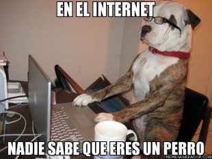 #Meme perro en internet