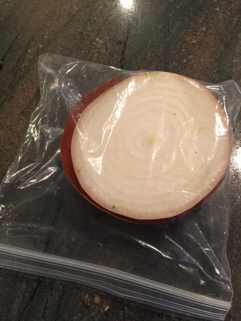 half-an-onion