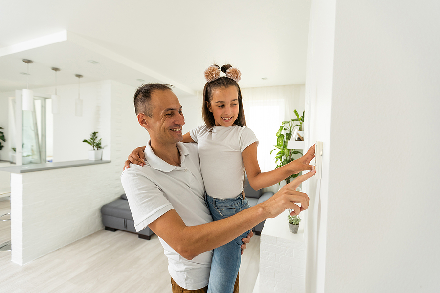 disminuye labores dispositivos Netzhome