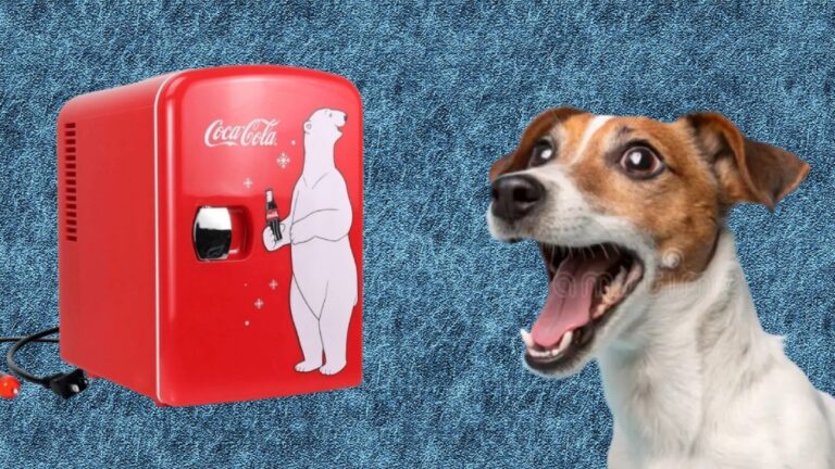 Mini refrigerador gratis Coca-Cola