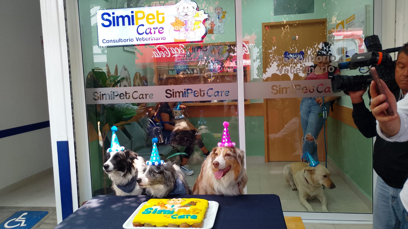 Veterinaria Dr. Simi