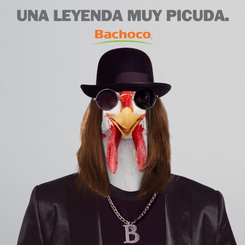 ozzy osbourne bachoco