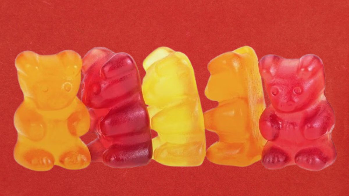 Panditas Ricolino