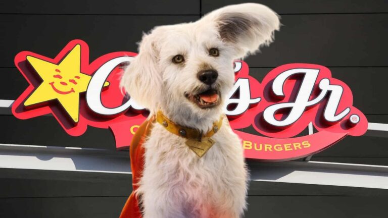 Carl's Jr.