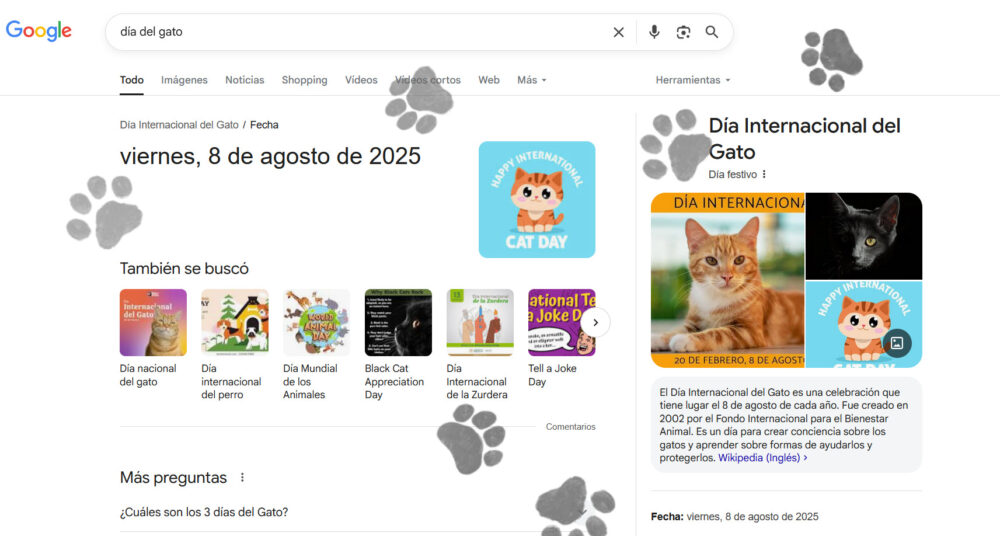 dia del gato 8 agosto
