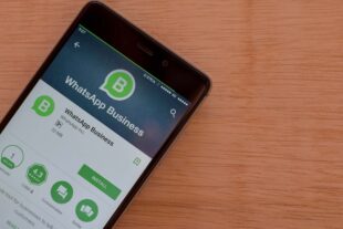 WhatsAppBusiness. Foto: BigStock