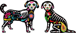 Este 27 de octubre, Día de Muertos de las Mascotas en México, Cerveza Victoria lanzó un video especial para conmemorar las almas de los perros que hoy regresan al mundo terrenal. Foto: Bigstock