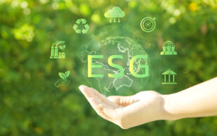 Sustentabilidad y los retos del retail. Foto: Bigstock