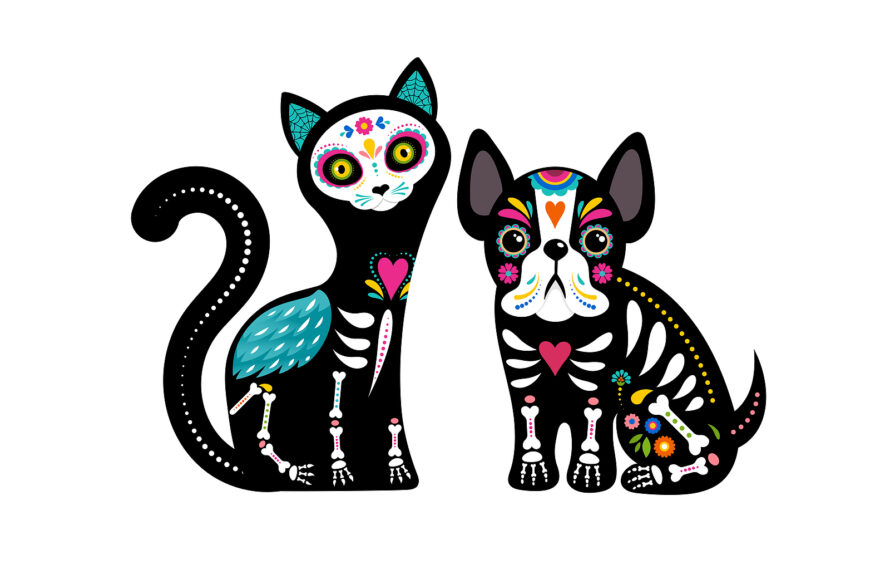27 de octubre, Día de Muertos de las Mascotas en México. Foto: Bigstock