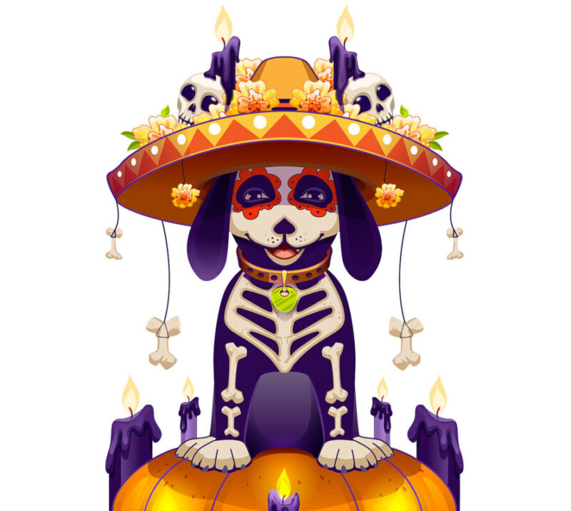 Cada 27 de octubre se celebra en México el Día de Muertos de las Mascotas. Conoce por qué se les festeja esa fecha y el significado de los perros en la cosmovisión de la muerte. Foto: Bigstock