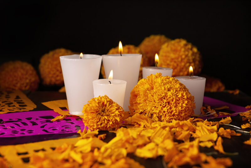 Flor de cempasúchitl. Ofrenda de Día de Muertos. Foto: Bigstock