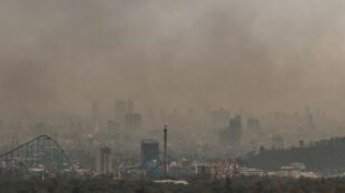 CDMX CONTINGENCIA. Gemini