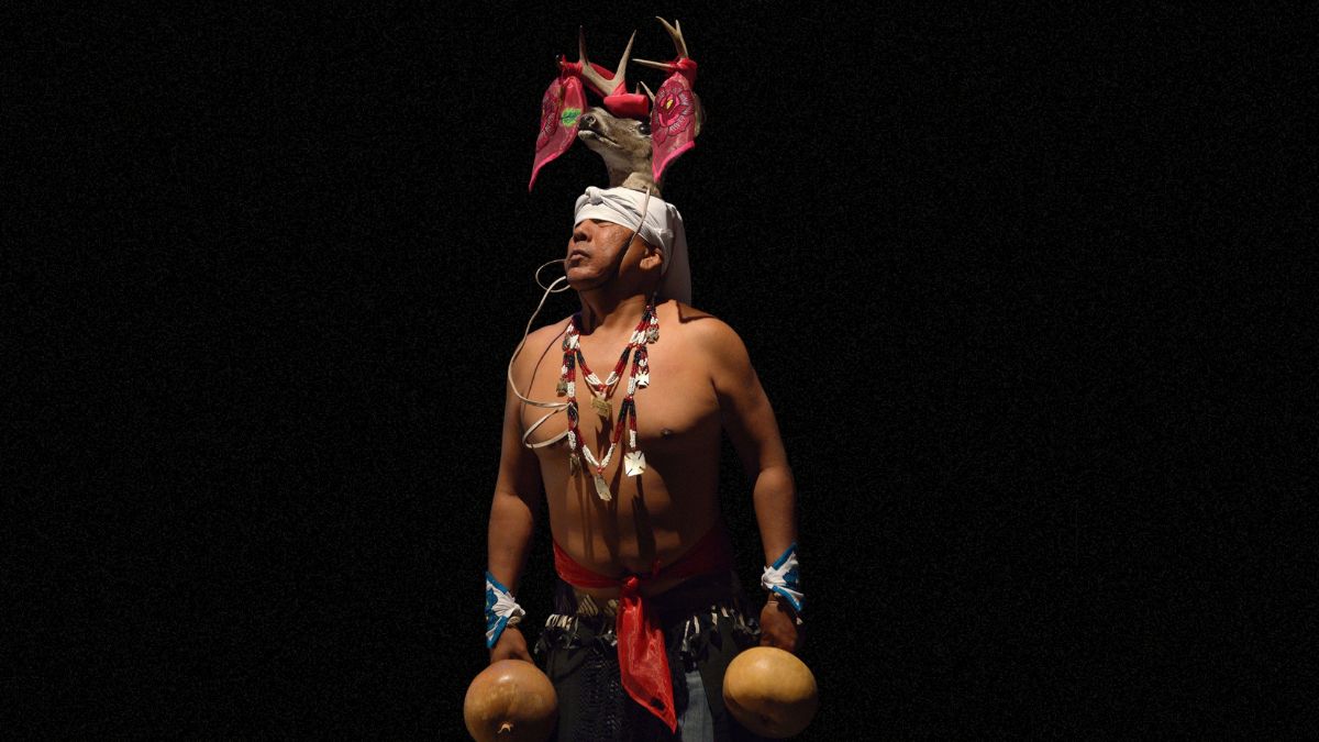 Danza del Venado. Imagen cortesia INAH, Canva