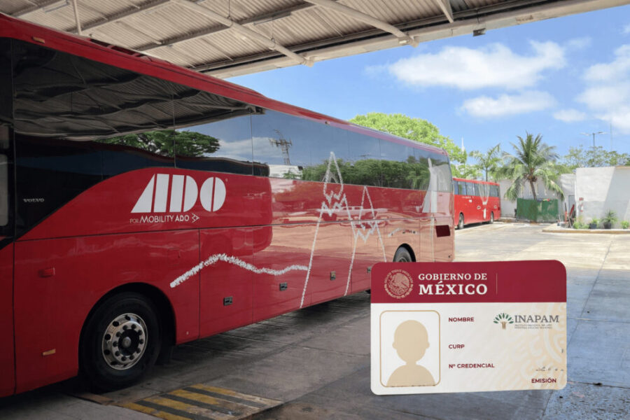 Descuentos en transporte con tarjeta INAPAM 2026. Foto: Bigstock/INAPAM/ChatGPT
