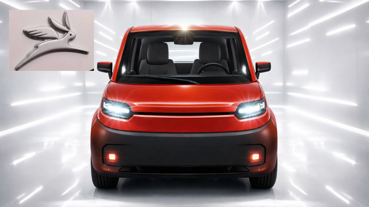 Olinia autos