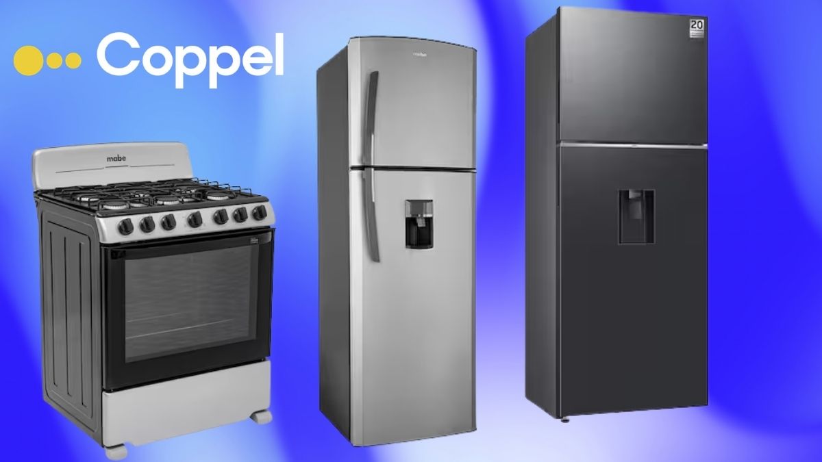 Coppel liquida línea blanca. Imagen marcas, Canva
