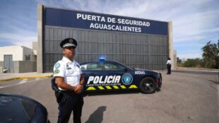 Puertas de Seguridad Aguascalientes. Imagen Cortesía con IA