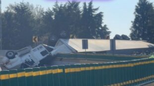 Accidente México- Cuernavaca