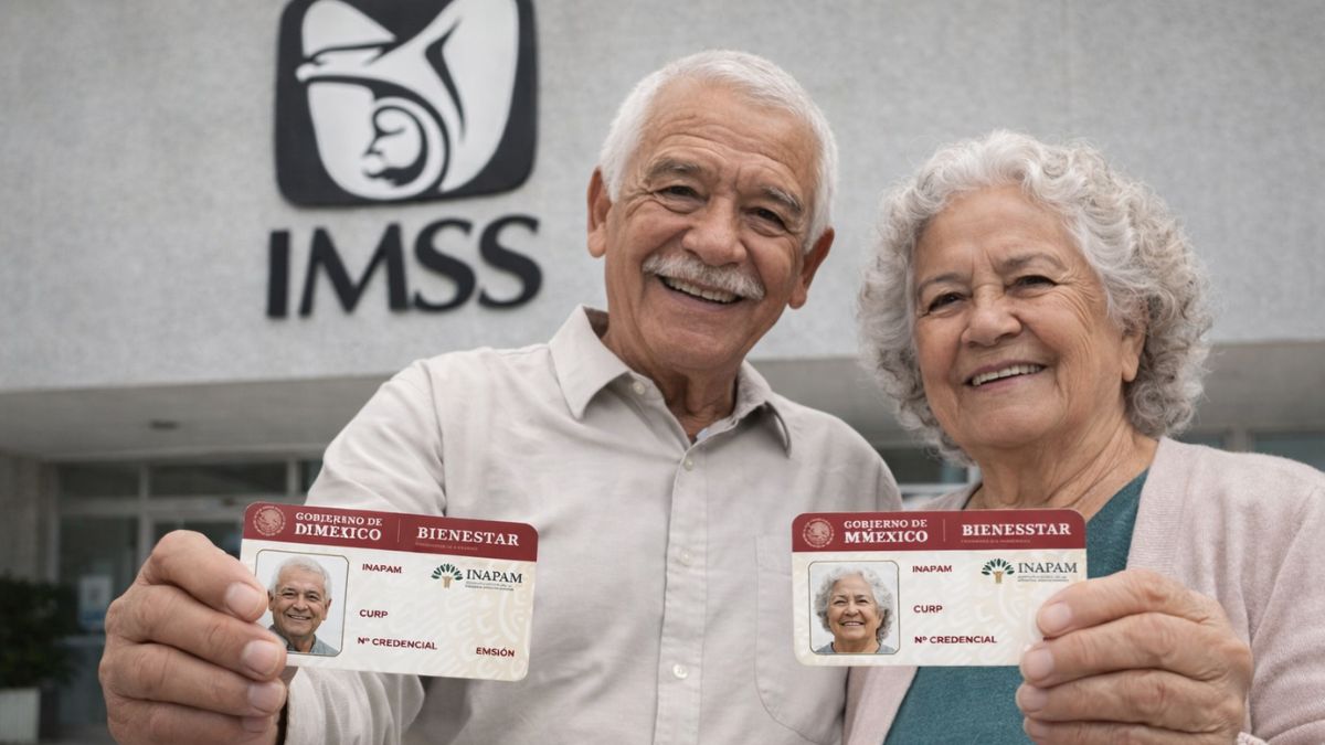 INAPAM, IMSS. Imagen IA