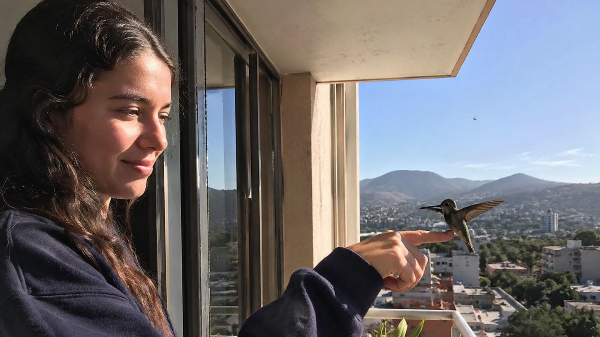 Colibrí. Imagen especial