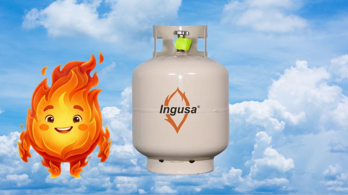 Bodega Aurrera remat tanque de gas 9 kilos. Imagen marca, IA, Canva