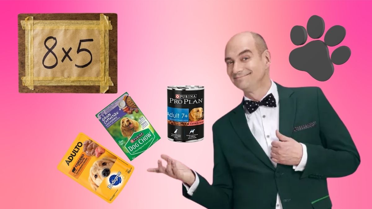 Julio Regalado lanza 8x5 en comida húmeda para perro. Imagen especial